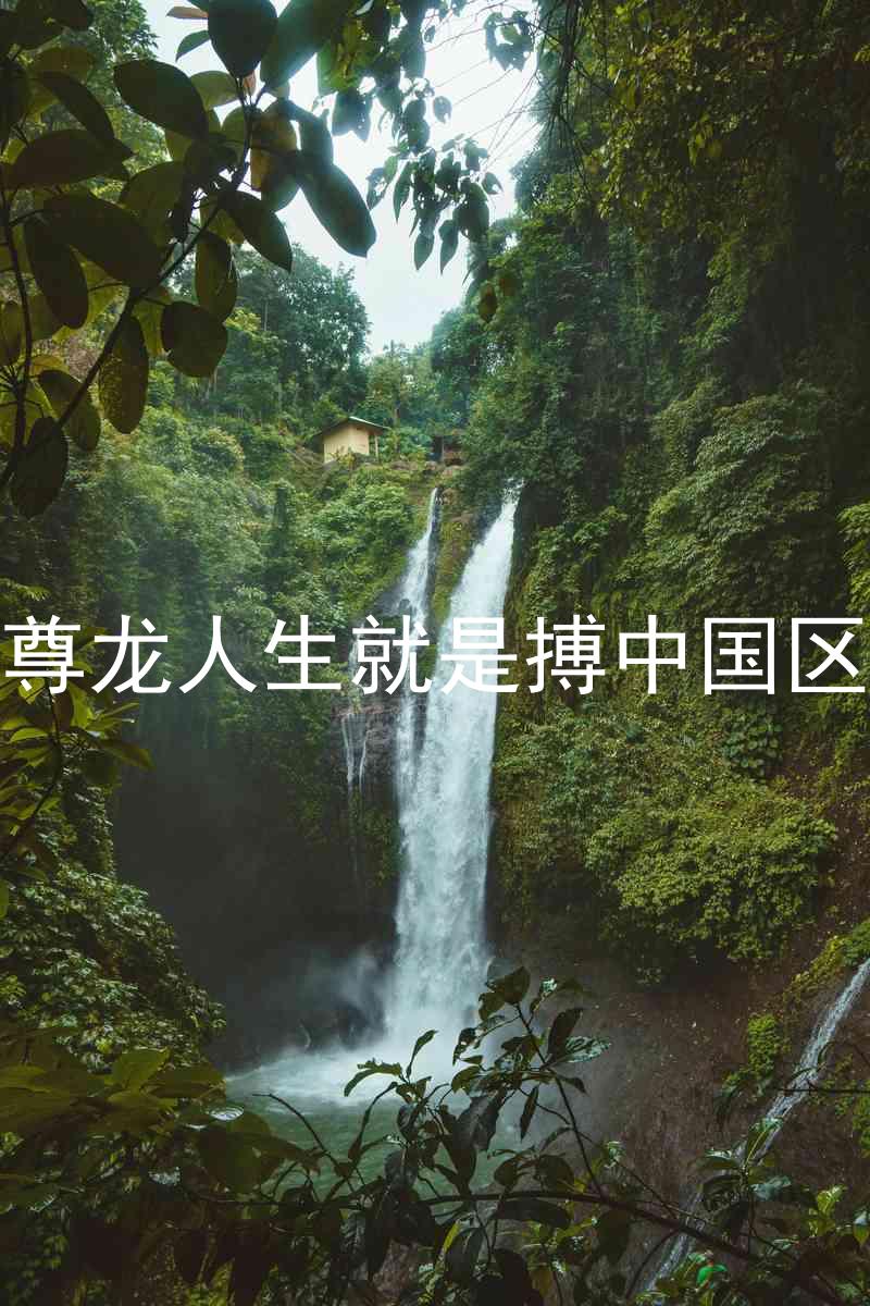 尊龙人生就是搏中国区