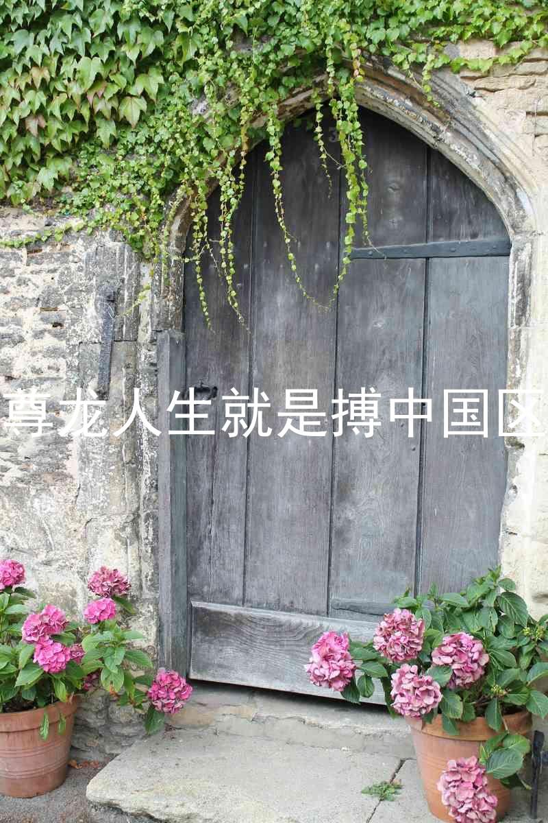尊龙人生就是搏中国区