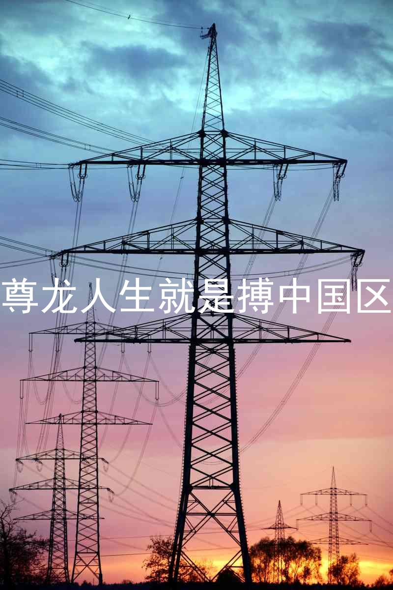 尊龙人生就是搏中国区