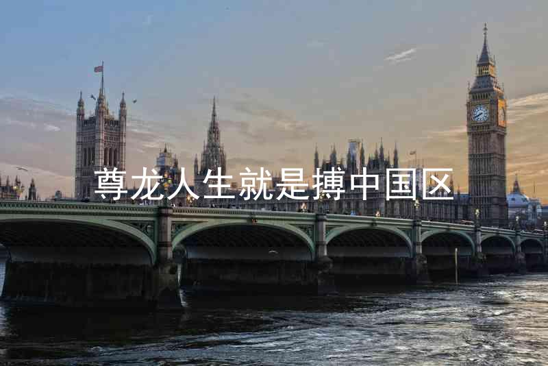 尊龙人生就是搏中国区