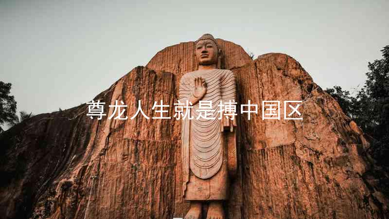 尊龙人生就是搏中国区