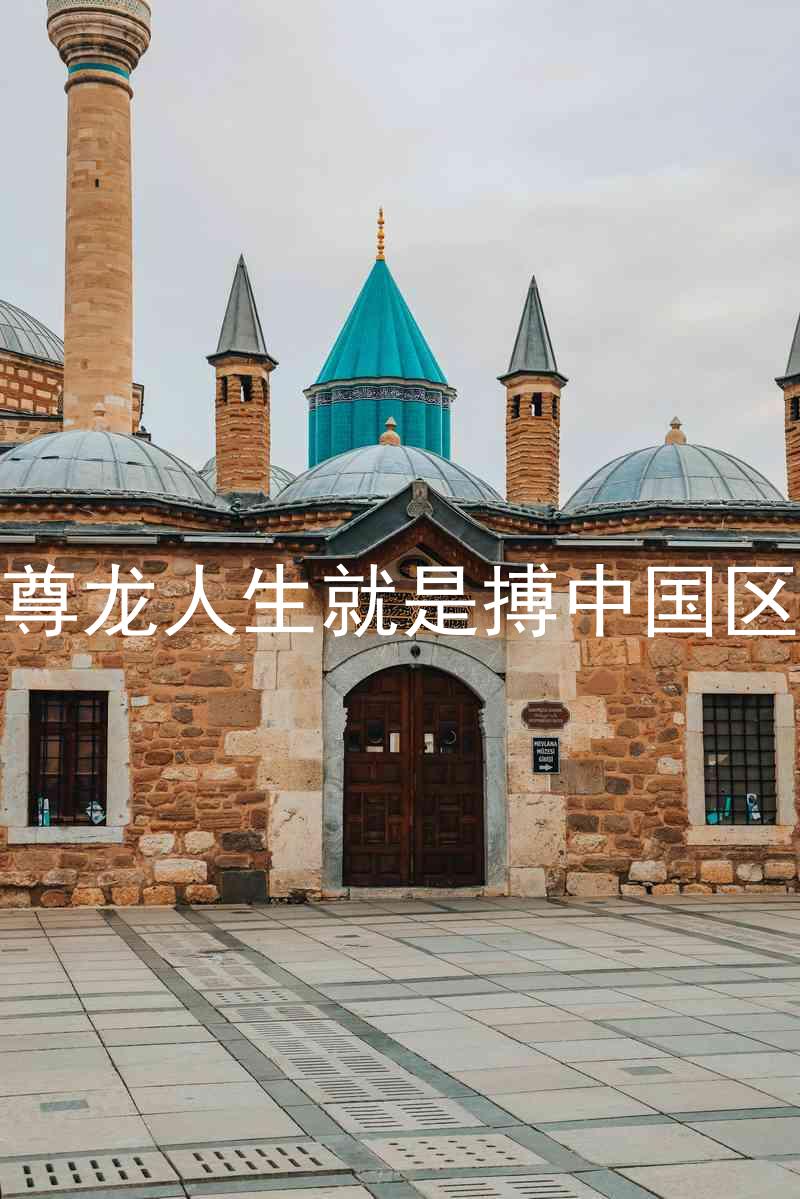 尊龙人生就是搏中国区
