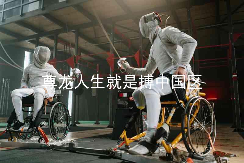 尊龙人生就是搏中国区